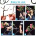 ANCLLO 2pcs X 20M Bonsai Care Tool Tree Training Wire 2.0mm Plant Craft Wire Fil d'aluminium Tissage Artisanal pour Tenir des Branches de bonsaï Chaque Rouleau 20M Noir - BB9K3WQRG