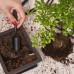 Cultivea® Lot de 32 Outils Complet bonsaï – Outil en Acier Jardinez Cisailles à bonsaï pour Entretien de Vos bonsaïs et Plantes Ciseaux Pince Taillage et élagage bonsaï Fil Aluminium - BK5MKFRUD