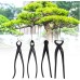 iFCOW Lot de 4 outils de coupe multifonctionnels pour bonsaï avec sac de rangement pour bonsaï outils de coupe de jardin pour bonsaï - BQWQ3RDZS