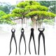 iFCOW Lot de 4 outils de coupe multifonctionnels pour bonsaï avec sac de rangement pour bonsaï outils de coupe de jardin pour bonsaï - BQWQ3RDZS