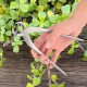 Leyeet Coupe-branche de jardin rond de 210 mm à long manche Outil pour bonsaï Coupe-branche concave pour bonsaï - BMNMDGKOX