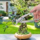 OhhGo Bouton d'outils pour bonsaï en acier inoxydable de 29 cm Ciseaux de jardin en pot 2 boutons de branche pour bonsaï Ciseaux pour bonsaï Branche concave pour bonsaï - BDH4EADAJ