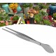 Pince à épiler à spatule pour bonsaï pince à épiler pour bonsaï ramasser des brins outil de desserrage du sol à pointe droite entretien facile enlever la mousse pour le jardin - BKB1ARBWD
