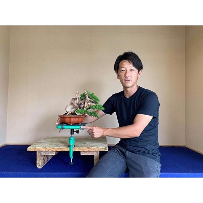 Pollice Verde Table de Travail Professionnelle avec Pince pour Bonsai Shohin Green-T - B749KAHYJ