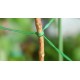50 m fil de fer jardinage plastifie vert avec système de coupage pratique - BHK55XZOD