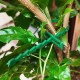 CAPRICIOUS 110Pcs Attache de Plante 13cm 17cm 23cm Accroche Tuteur Attaches de Torsion en Plastique Réglable Liens Verte Flexible Attaches de Câble de Jardinage pour Plantes Vertes - B55M4VERG