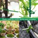CAPRICIOUS 110Pcs Attache de Plante 13cm 17cm 23cm Accroche Tuteur Attaches de Torsion en Plastique Réglable Liens Verte Flexible Attaches de Câble de Jardinage pour Plantes Vertes - B55M4VERG