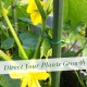 LEREATI Fil de Fer Jardin Souple 2.8mm x 10m Attache Plante Grimpante Vert Attache Tomate Fil de Fer Souple Loisir Creatif pour Plantes Grimpantes Vignes Arbustes et Fleurs - BV7B3OSZP