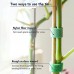 NXACETN Attaches de plantes vertes souples pour jardin Double face Réutilisables En nylon Crochet Supports de jardin en canne de bambou Pour un usage domestique Vert - B5NNQEGDG