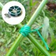 Pectt 150 m de ficelle en plastique pour plantes attaches de jardin vertes avec cutter pour tomates vignes distributeur de bobine de fil pour jardinage et organisation de bureau maison - B37E1YOSL