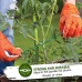 volila Ficelle de Jardinage en polypropylène Verte Ficelle épaisse pour Attacher emballer et jardiner 250 mètres - B6Q1HMDUO