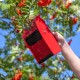 Katai Outil de ramassage de baies – Râteau de ramassage de baies en plastique rouge – Peigne métallique et poignée ergonomique – Complet avec 4 clips de fixation pour plantes de jardin - BEWQ9NSDJ
