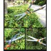 Cisailles à Haies de Jardin Outils de Jardinage Cisailles à Haies à Fruits - BVV28DFSX