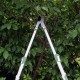 Cisailles à Haies de Jardin Outils de Jardinage sécateur télescopique à cliquet pour Arbre - BKB53ACXP
