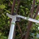 Cisailles à Haies de Jardin Outils de Jardinage sécateur télescopique à cliquet pour Arbre - BKB53ACXP