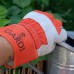 Gardi Haie de jardin dentelée orange avec poignées confortables et gants résistants de taille moyenne - BAJK6GLTN