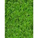 PEGANE Rouleau Gazon Artificiel d'extérieur en 100% polypropylène Coloris Vert Dim : 2m x 25m - BQEK9QEDG