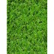 PEGANE Rouleau Gazon Artificiel d'extérieur en 100% polypropylène Coloris Vert Dim : 4m x 25m - B1VHMEUEO