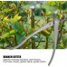 Qinlorgo Cisaille d'élagage multifonctionnelle Outil de Cisaillement de bonsaï de ciseau de Coupe de Branche de Jardin en Acier au Carbone à Long Manche - BV7KEANUX
