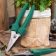VILLCASE Giardinage Élagueuse à la main pour élagage Cisaille Bud Tondeuse Cisaille de jardin pour plantes d'herbes fleurs raisins - BNK3KGJOA
