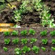 Plutohiker Binette de jardin pour désherbage et jardinage manche de 152,4 cm de long outils robustes avec boucle réglable et pierre à aiguiser - BJQMDLIBK