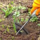 ZHAOCI Houe creuse tout en acier trempé houes de jardin pour le désherbage à long manche houe de plantation de jardin râteau de désherbage à main pour planter des légumes accessoires de désherbage - BEH7NFDRU