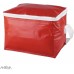 ANTEVIA Sac isotherme 15 x 21 x 15cm | PLUS DE 10 MODÈLES |Glacière | Matière: PVC |Couleur : Rouge Coolcan rouge - BAN84SDDR