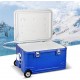 TZNBGO Glacière Mobile avec Roues Glacière à Rroulettes Isotherme Glacière Portable avec roulettes Glacière-Congélateur pour Garder au Chaud et au Frais Color : Blue Size : 42l - BN7B4MWJE