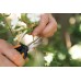 Fiskars Ciseaux à fleurs à lames courbées Longueur : 17,1 cm Lames en Acier Inoxydable Manches en Plastique Noir Orange Micro-Tip Solid SP-160 1063325 - BJA8KSZTS