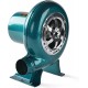 Souffleur d'air Puissant 12V ~ 220V Ventilateur Domestique Ventilateur de Barbecue en Fer Petit Ventilateur centrifuge Bleu pour Barbecue 20W-100W - B6MKAQVQL