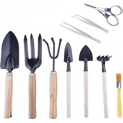 DesignerBox Lot de 10 outils de jardinage pour bonsaï avec pelle râteau fourchette pince ciseaux à bourgeons et feuilles brosse de nettoyage - BKK51MGVA
