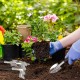 Kit d'outils de jardinage pelle à transplanter pelle cultivateur râteau à main gadget en acier inoxydable kit de jardinage pour garçons et filles Kot-au - B8W9KCPAR