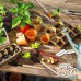 MKNZOME Outils de Jardinage 21pièces Ensemble d'outils de Jardinage Trousse-Cadeau d'outils à Main Kit Jardinage pour Bonsaï pour Débutant de Jardinage - BVDNVTVQN