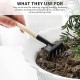 UNISOPH Lot de 20 outils pour plantes succulentes mini kit d'outils de transplantation manuel de bonsaïs de jardinage pour arroser creuser escarper desserrer aéraire étaler et transplanter - B7MQ5HKGX