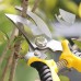 YISSVIC Outils de Jardinage 12 Pièces Outils de Jardin avec Sac de Rangement Arrosoir Gants de Jardinage - B5M7AOGBL