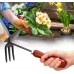 Zwinner Kit de Pelle à bêche kit d'outils de Jardinage Rouille Pratique pour râteau de Jardin pour la Plantation de Fleurs - B4992IQJA