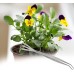 LOVIVER Ménage Jardinage Râteau Réutilisable Min Râteau À Main Portable pour Pot de Fleur Vase - BW3K4UWWT
