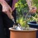 Kent & Stowe pelle de jardin – Pelle à terreau en acier inox pour planter et transplanter pelle à main avec poignée en frêne longueur : 33 cm - B3AWKIEGD