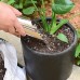 Yeeda Bêche de jardin outil à bonsaï en acier inoxydable grande pelle à terreau en pot pelle à engrais - B4NNDINKU