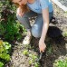 AFLOWER Désherbeur manuel pour jardin Pour repiquage de mauvaises herbes En alliage d'aluminium Pissenlit Désherbage Outil de jardinage - B6D64SNHH